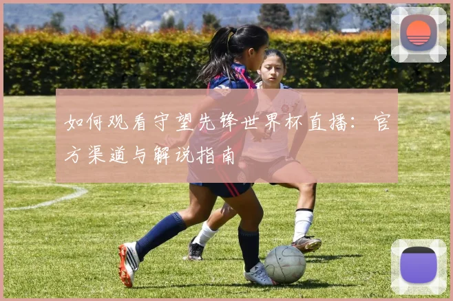 如何观看守望先锋世界杯直播:官方渠道与解说指南