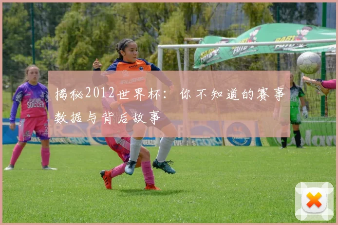 揭秘2012世界杯:你不知道的赛事数据与背后故事