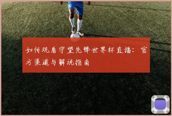 如何观看守望先锋世界杯直播:官方渠道与解说指南