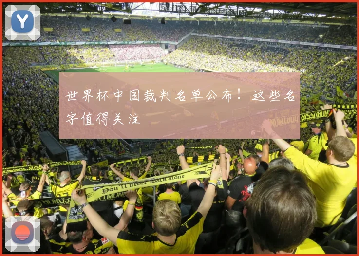 世界杯中国裁判名单公布！这些名字值得关注