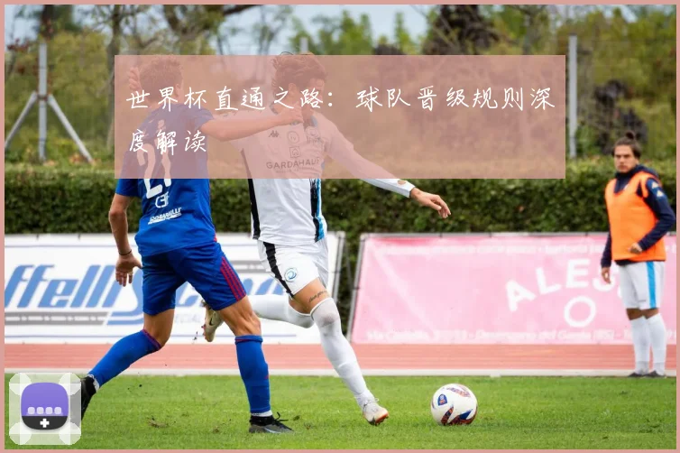 世界杯直通之路:球队晋级规则深度解读